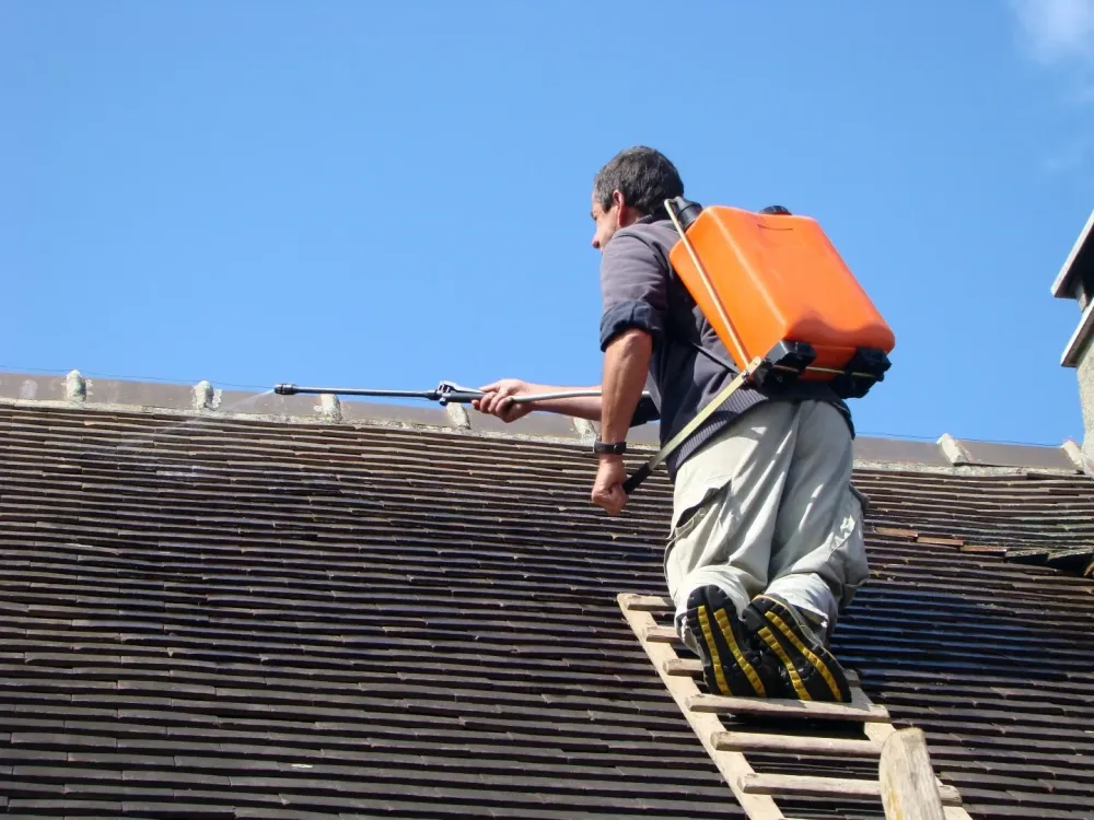 Démoussage de toiture-prestationwebp
